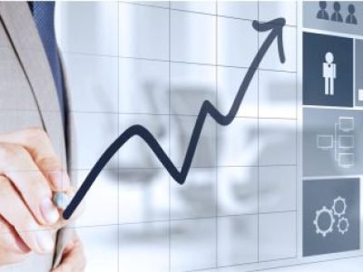 Bachelor of Science in Business Management